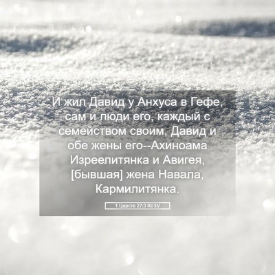 Picture 05 - 1 Царств 27:3 RUSV - И жил Давид у Анхуса в Гефе, - Bible Verse Picture