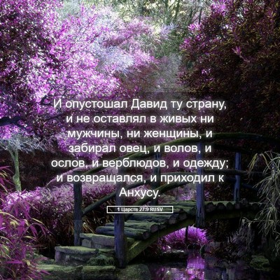 Picture 05 - 1 Царств 27:9 RUSV - И опустошал Давид ту - Bible Verse Picture
