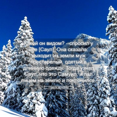 Picture 05 - 1 Царств 28:14 RUSV - Какой он видом? --спросил у - Bible Verse Picture