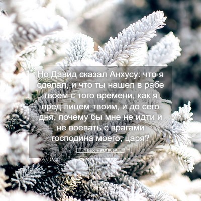 Picture 05 - 1 Царств 29:8 RUSV - Но Давид сказал Анхусу: что - Bible Verse Picture
