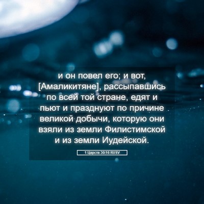 Picture 05 - 1 Царств 30:16 RUSV - и он повел его; и вот, - Bible Verse Picture