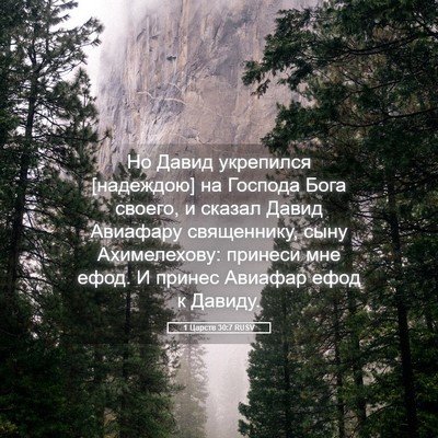 Picture 05 - 1 Царств 30:7 RUSV - Но Давид укрепился - Bible Verse Picture