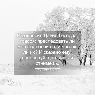 Picture 05 - 1 Царств 30:8 RUSV - И вопросил Давид Господа, - Bible Verse Picture