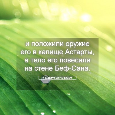 Picture 05 - 1 Царств 31:10 RUSV - и положили оружие его в - Bible Verse Picture