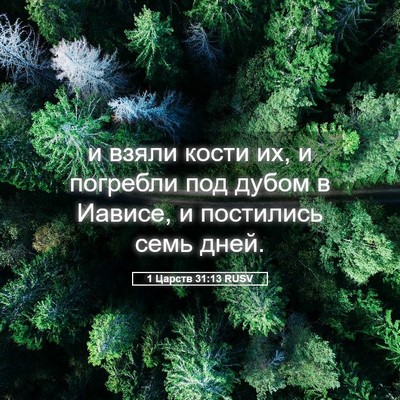 Picture 05 - 1 Царств 31:13 RUSV - и взяли кости их, и - Bible Verse Picture