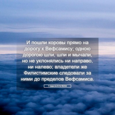 Picture 05 - 1 Царств 6:12 RUSV - И пошли коровы прямо на - Bible Verse Picture