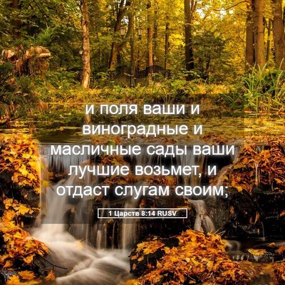 Picture 05 - 1 Царств 8:14 RUSV - и поля ваши и виноградные и - Bible Verse Picture