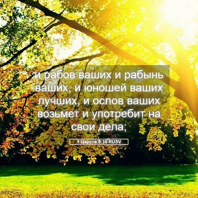 Picture 05 - 1 Царств 8:16 RUSV - и рабов ваших и рабынь - Bible Verse Picture