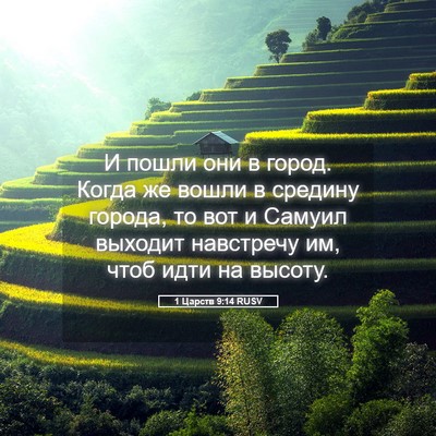 Picture 05 - 1 Царств 9:14 RUSV - И пошли они в город. Когда - Bible Verse Picture