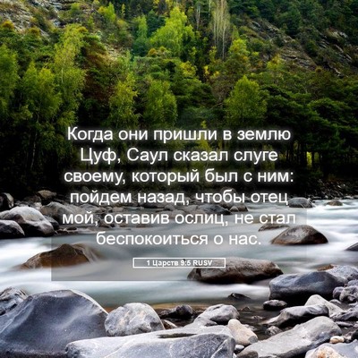 Picture 05 - 1 Царств 9:5 RUSV - Когда они пришли в землю - Bible Verse Picture