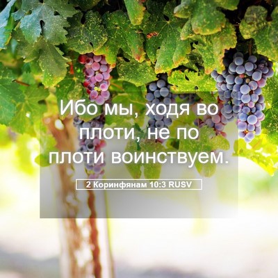 Picture 05 - 2 Коринфянам 10:3 RUSV - Ибо мы, ходя во плоти, не по - Bible Verse Picture