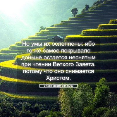 Picture 05 - 2 Коринфянам 3:14 RUSV - Но умы их ослеплены: ибо то - Bible Verse Picture