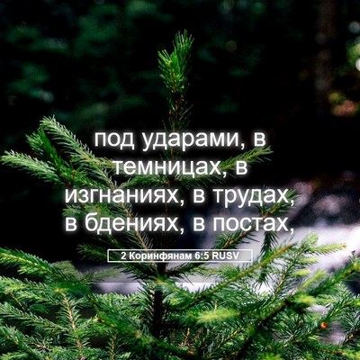 Picture 05 - 2 Коринфянам 6:5 RUSV - под ударами, в темницах, в - Bible Verse Picture