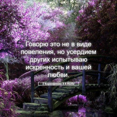 Picture 05 - 2 Коринфянам 8:8 RUSV - Говорю это не в виде - Bible Verse Picture