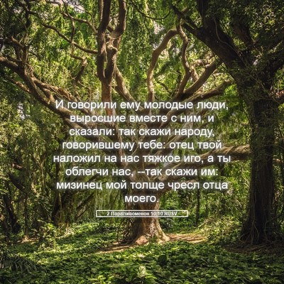 Picture 05 - 2 Паралипоменон 10:10 RUSV - И говорили ему молодые - Bible Verse Picture