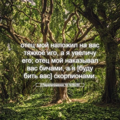 Picture 05 - 2 Паралипоменон 10:14 RUSV - отец мой наложил на вас - Bible Verse Picture