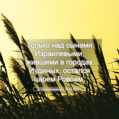 Picture 05 - 2 Паралипоменон 10:17 RUSV - Только над сынами - Bible Verse Picture