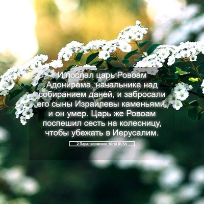 Picture 05 - 2 Паралипоменон 10:18 RUSV - И послал царь Ровоам - Bible Verse Picture