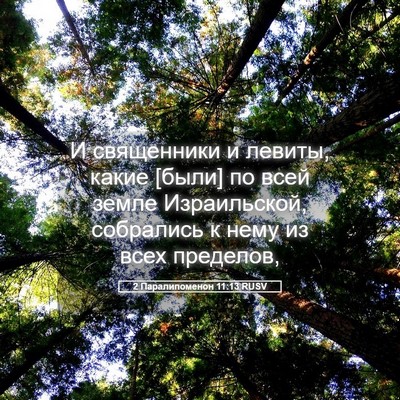 Picture 05 - 2 Паралипоменон 11:13 RUSV - И священники и левиты, - Bible Verse Picture