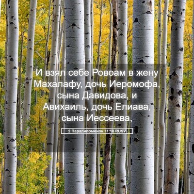 Picture 05 - 2 Паралипоменон 11:18 RUSV - И взял себе Ровоам в жену - Bible Verse Picture