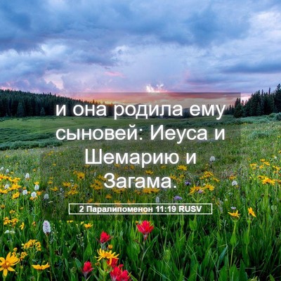 Picture 05 - 2 Паралипоменон 11:19 RUSV - и она родила ему сыновей: - Bible Verse Picture