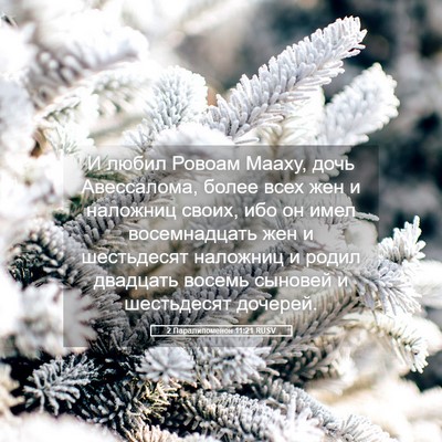 Picture 05 - 2 Паралипоменон 11:21 RUSV - И любил Ровоам Мааху, дочь - Bible Verse Picture