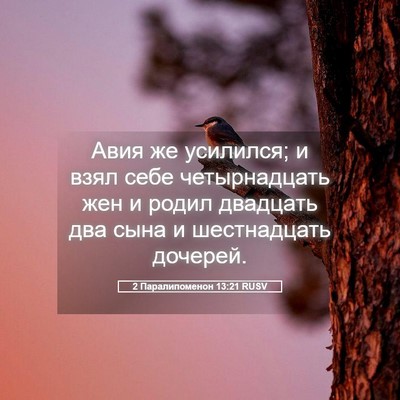 Picture 05 - 2 Паралипоменон 13:21 RUSV - Авия же усилился; и взял - Bible Verse Picture