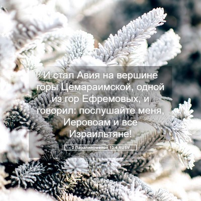 Picture 05 - 2 Паралипоменон 13:4 RUSV - И стал Авия на вершине горы - Bible Verse Picture