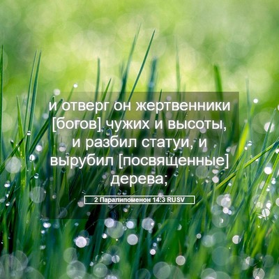 Picture 05 - 2 Паралипоменон 14:3 RUSV - и отверг он жертвенники - Bible Verse Picture