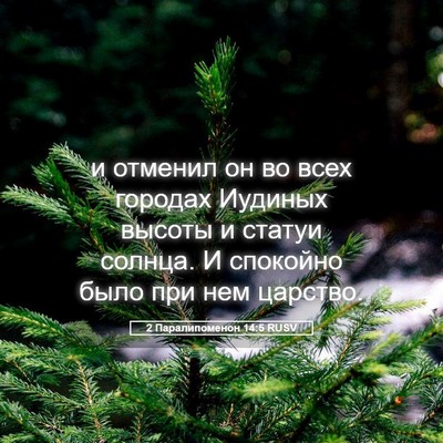 Picture 05 - 2 Паралипоменон 14:5 RUSV - и отменил он во всех - Bible Verse Picture