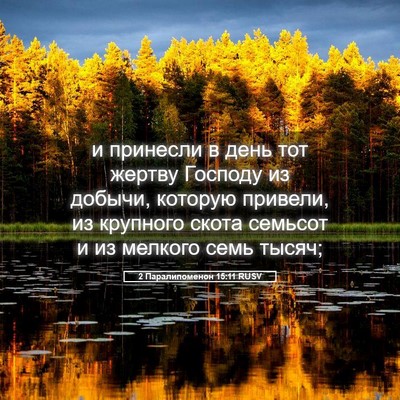 Picture 05 - 2 Паралипоменон 15:11 RUSV - и принесли в день тот - Bible Verse Picture
