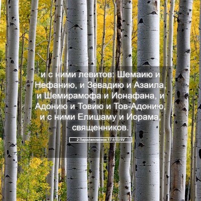 Picture 05 - 2 Паралипоменон 17:8 RUSV - и с ними левитов: Шемаию и - Bible Verse Picture