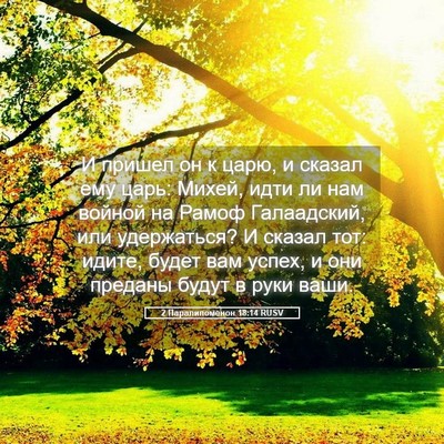 Picture 05 - 2 Паралипоменон 18:14 RUSV - И пришел он к царю, и сказал - Bible Verse Picture