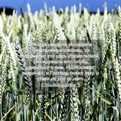 Picture 05 - 2 Паралипоменон 18:31 RUSV - И когда увидели Иосафата - Bible Verse Picture