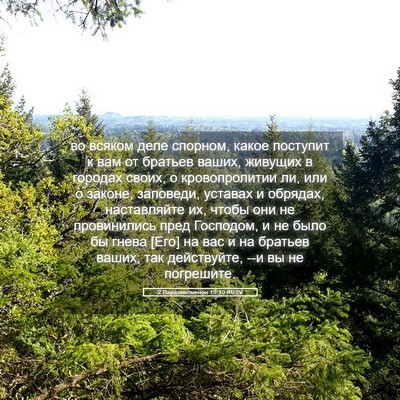 Picture 05 - 2 Паралипоменон 19:10 RUSV - во всяком деле спорном, - Bible Verse Picture