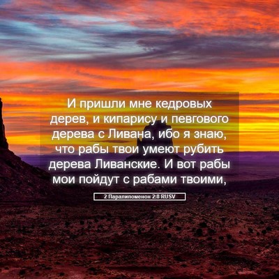 Picture 05 - 2 Паралипоменон 2:8 RUSV - И пришли мне кедровых - Bible Verse Picture