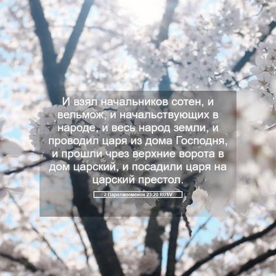 Picture 05 - 2 Паралипоменон 23:20 RUSV - И взял начальников сотен, и - Bible Verse Picture