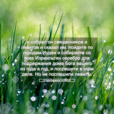 Picture 05 - 2 Паралипоменон 24:5 RUSV - и собрал он священников и - Bible Verse Picture