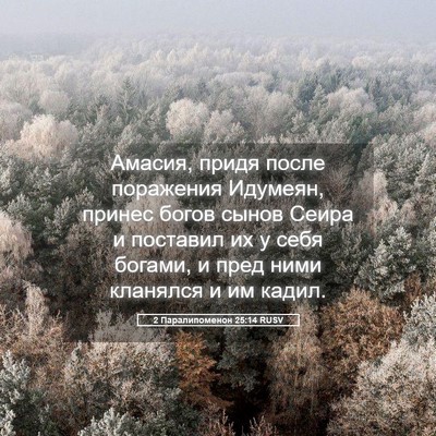 Picture 05 - 2 Паралипоменон 25:14 RUSV - Амасия, придя после - Bible Verse Picture