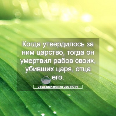 Picture 05 - 2 Паралипоменон 25:3 RUSV - Когда утвердилось за ним - Bible Verse Picture