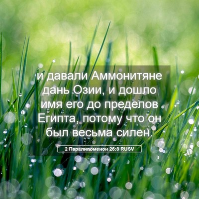 Picture 05 - 2 Паралипоменон 26:8 RUSV - и давали Аммонитяне дань - Bible Verse Picture
