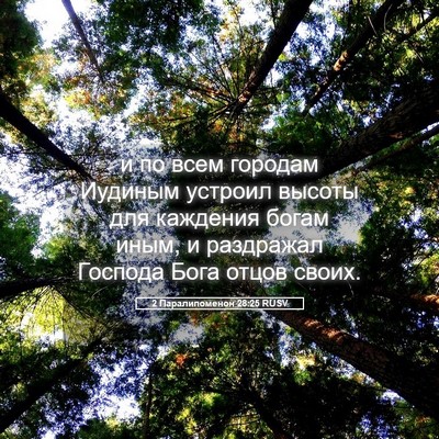 Picture 05 - 2 Паралипоменон 28:25 RUSV - и по всем городам Иудиным - Bible Verse Picture