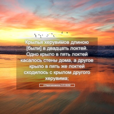 Picture 05 - 2 Паралипоменон 3:11 RUSV - Крылья херувимов длиною - Bible Verse Picture