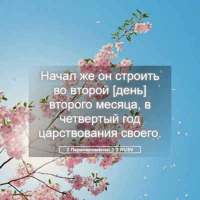 Picture 05 - 2 Паралипоменон 3:2 RUSV - Начал же он строить во - Bible Verse Picture