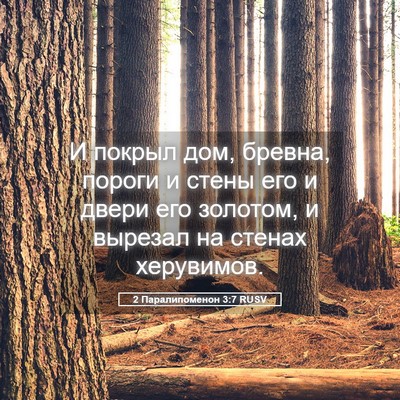 Picture 05 - 2 Паралипоменон 3:7 RUSV - И покрыл дом, бревна, - Bible Verse Picture