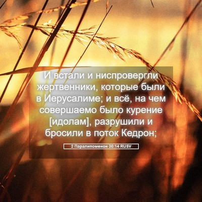 Picture 05 - 2 Паралипоменон 30:14 RUSV - И встали и ниспровергли - Bible Verse Picture