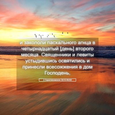Picture 05 - 2 Паралипоменон 30:15 RUSV - и закололи пасхального - Bible Verse Picture