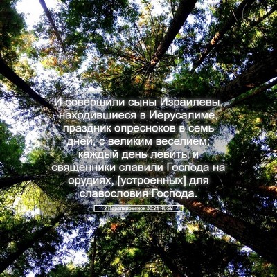 Picture 05 - 2 Паралипоменон 30:21 RUSV - И совершили сыны - Bible Verse Picture