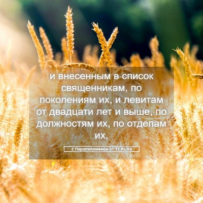 Picture 05 - 2 Паралипоменон 31:17 RUSV - и внесенным в список - Bible Verse Picture
