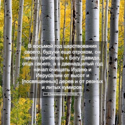 Picture 05 - 2 Паралипоменон 34:3 RUSV - В восьмой год царствования - Bible Verse Picture